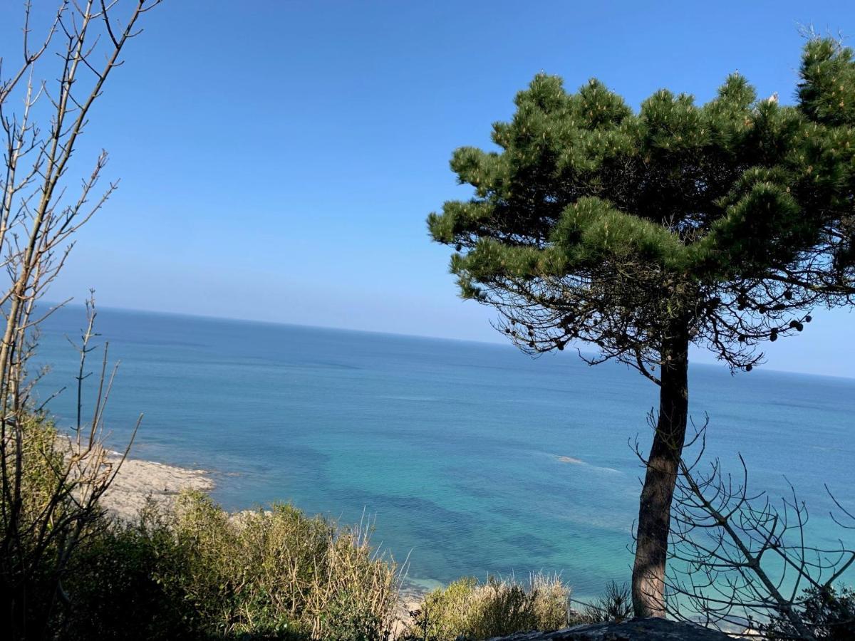 Appartement Villa Chausey, Vue Sur Le Port غرانفيل المظهر الخارجي الصورة